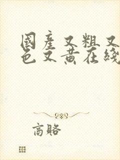 国产又粗又猛又色又黄在线