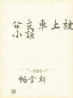 公交车上被插的小说
