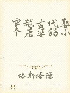 穿越古代娶了三个老婆的小说