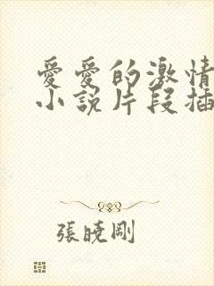 爱爱的激情四射小说片段插入