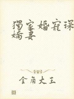 独家婚宠琛少的娇妻