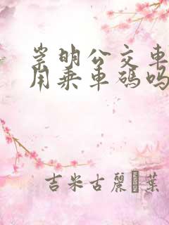 崇明公交车可以用乘车码吗