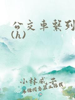 公交车系列小说(h)