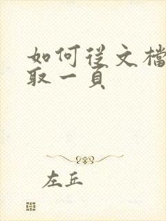 如何从文档中提取一页
