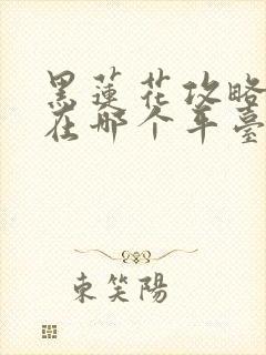 黑莲花攻略手册在哪个平台播出