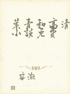 叶青和高清月的小说免费