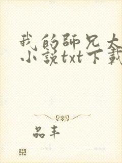 我的师兄太强了小说txt下载