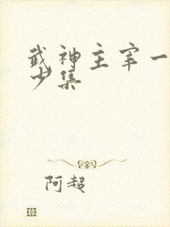 武神主宰一共多少集