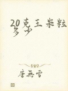 20克玉米粒有多少