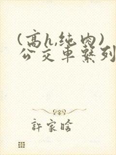 (高h,纯肉)公交车系列