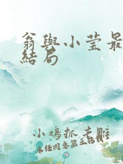 翁与小莹最新大结局