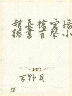 赵长枪官场免费听书有声小说