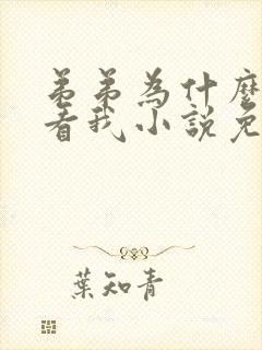 弟弟为什么这样看我小说免费阅读