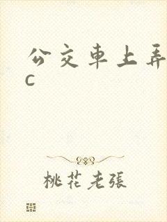 公交车上弄到高c