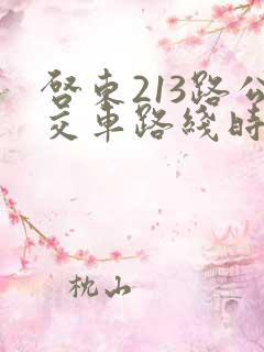 启东213路公交车路线时间表