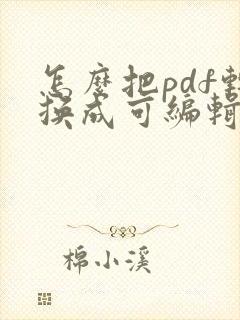 怎么把pdf转换成可编辑的ppt