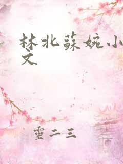 林北苏婉小说全文