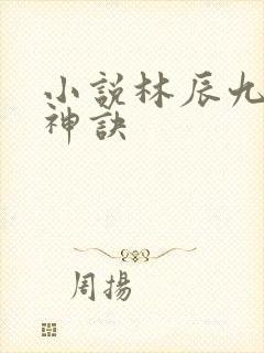 小说林辰九天斩神诀