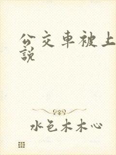 公交车被上高小说
