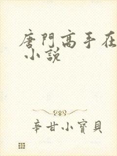 唐门高手在异世 小说