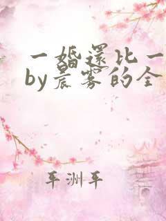 一婚还比一婚高by晨雾的全文阅读