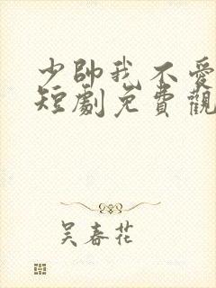 少帅我不爱你了短剧免费观看最新一期