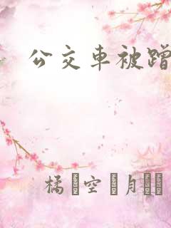 公交车被蹭