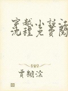 穿越小说江念姿沈程免费阅读
