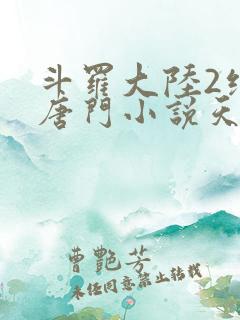 斗罗大陆2绝世唐门小说天域小说