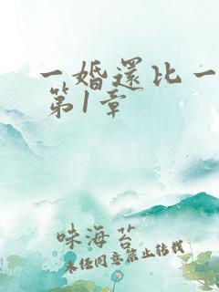 一婚还比一婚深 第1章