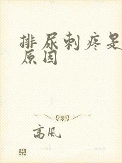 排尿刺疼是什么原因