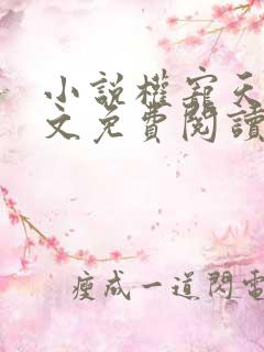 小说权宠天下全文免费阅读