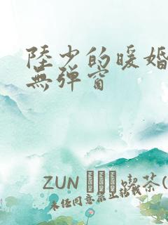 陆少的暖婚新妻无弹窗