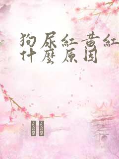 狗尿红黄红黄是什么原因