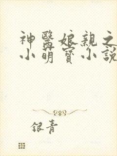 神医娘亲之腹黑小萌宝小说