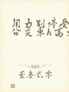 用力别停受不了公交车h高文