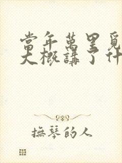 当年万里觅封侯大概讲了什么
