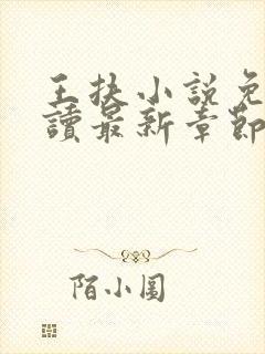 王扶小说免费阅读最新章节无弹窗