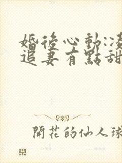 婚后心动:凌总追妻有点甜小说目录