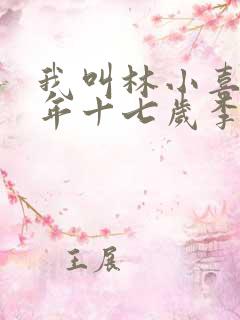 我叫林小喜书今年十七岁李叔
