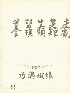 实习生是老板千金视频短剧全集