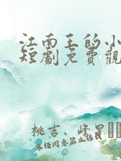 江南王的小娇妻短剧免费观看