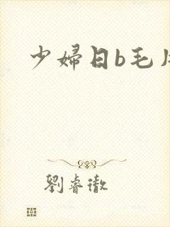 少妇日b毛片