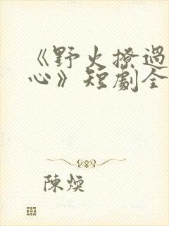 《野火撩过姐姐心》短剧全集
