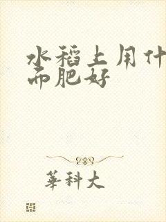 水稻上用什么叶面肥好