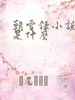朝雪录小说结局是什么