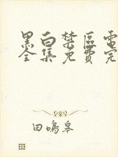 黑白禁区电视剧全集免费完整版