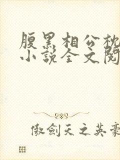 腹黑相公枕上宠小说全文阅读