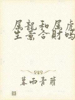 属龙和属虎的做生意合财吗