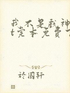 我不是戏神txt完本免费下载